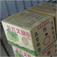 標準二十五斤(含運)